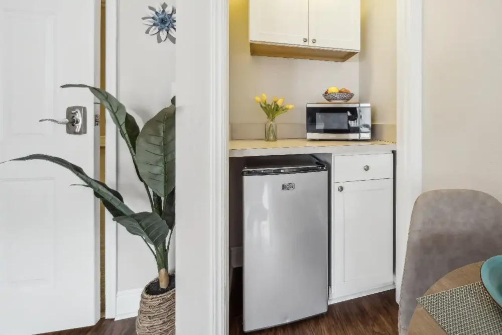 Model Studio Apartment Kitchenette